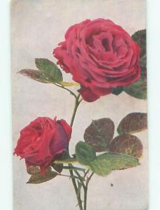 Very Old Foreign Postcard BEAUTIFUL FLOWERS SCENE AA5006