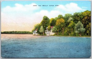 Greetings From Harbor Lights Camp Lake Michigan MI Forest Trees Postcard