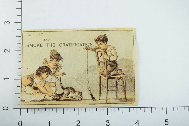 1870's-80's Smoke Gratification Cigars and Tobacco. Cat Trade Card P59