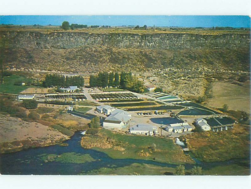 Pre-1980 SNAKE RIVER TROUT FISH FARM Buhl Idaho ID AE5700