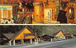 Jackson, Wyoming WAGON WHEEL VILLAGE Roadside Motel Vintage Postcard ca 1960s