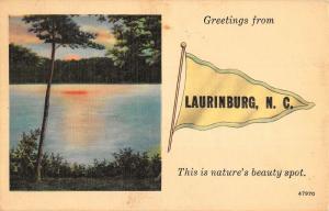 Laurinburg North Carolina Scenic Waterfront Pennant Flag Antique Postcard K38776