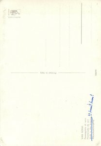 Artist signed Postcard Van Gogh walk in the evening