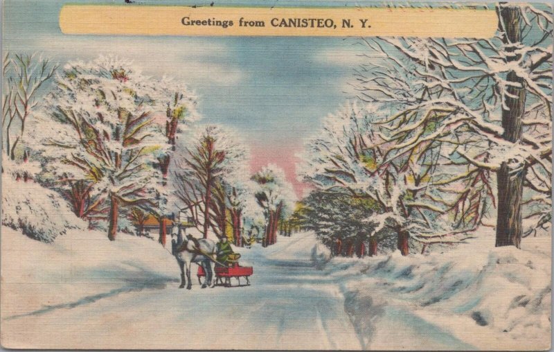 Postcard Greetings from Canisteo NY