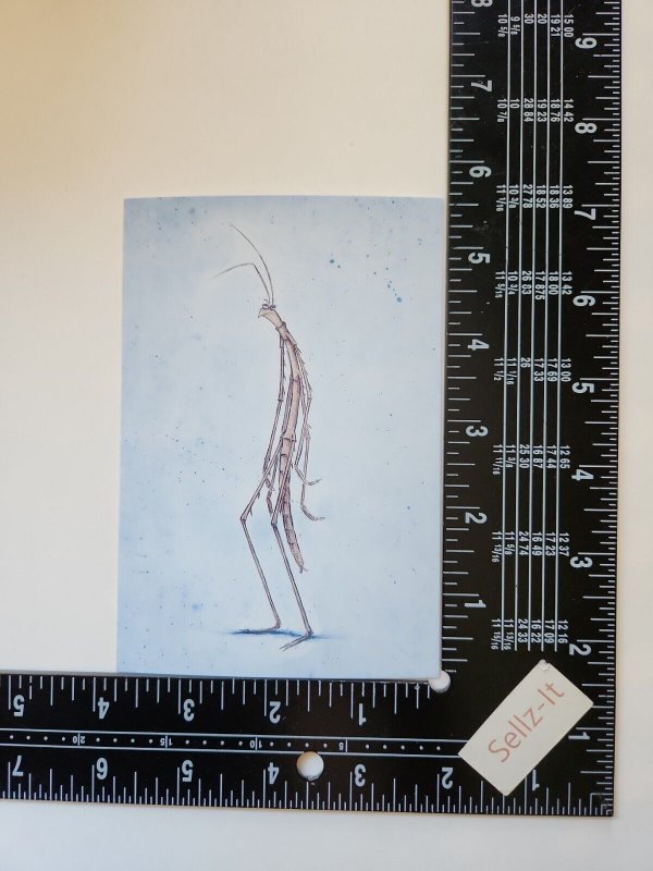 A Bug's Life Slim Stick Bug Concept Art Drawing by Mark Holmes Pixar Postcard