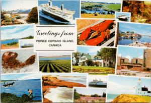 Greetings from Prince Edward Island PE PEI Multiview Vintage Postcard D55