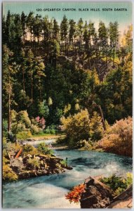 Spearfish Canyon Black Hills South Dakota River Forest Trees Camping Postcard