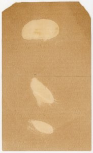 1888 Marie Chambers Mahala Dutton Song Recital Program #KT