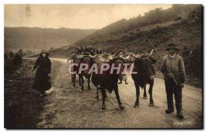 Old Postcard Folklore Auvergne Charrot firewood