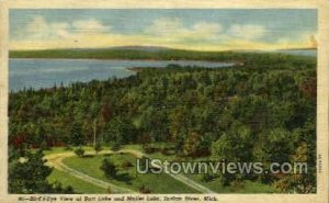 Bird's Eye View of Burt Lake - Indian River, Michigan MI Postcard
