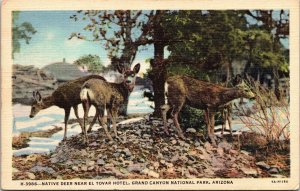 El Tovar Hotel Grand Canyon National Park AZ Deer Linen Cancel WOB Postcard 