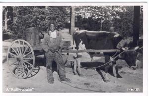 BLACK AMERICANA  BOY and BULLMOBILE Cline RPPC postcard