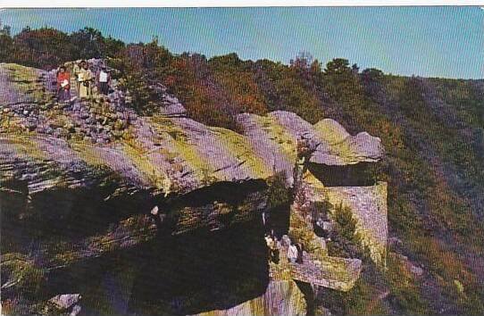 Tennessee Chattanooga View Of the Observation Point In Beautiful Rock City On...