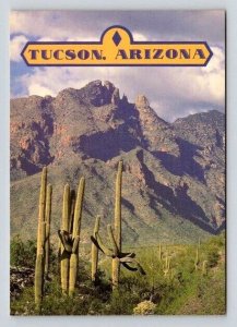 Tucson Arizona Santa Catalina Mountains, Saguaro Cacti  - Continental Postcard