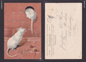 FRANCE, Vintage postcard, Two White Mice, Mouse, Posted