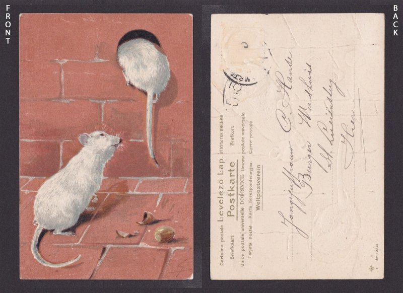 FRANCE, Vintage postcard, Two White Mice, Mouse, Posted