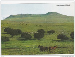 Brown Horses, The HORNS OF HITTIN, Israel, 1950-1970s