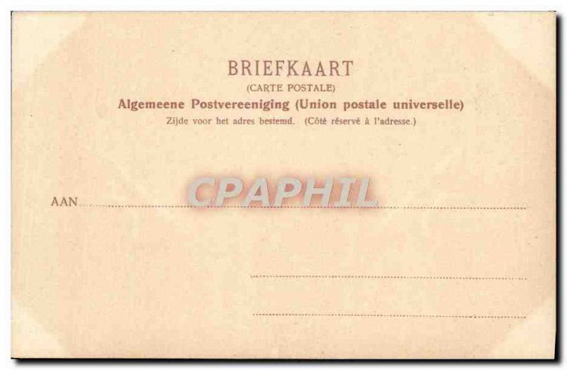 Postcard Old Elswouds Laan Bij Haarlem