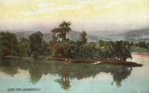 Vintage Postcard 1910's Island Park Salamanca New York The Rotograph Co.