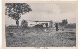 Egypt Postcard - Cairo - A Sakieh    A9129