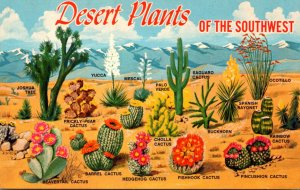 Cactus Desert Plants Of The Southwest