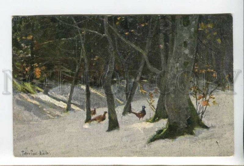 431734 Paul MULLER Winter HUNT pheasant in Snow Vintage postcard
