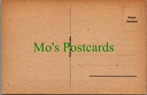 Netherlands Postcard - Den Haag - Vredespaleis  RS25893