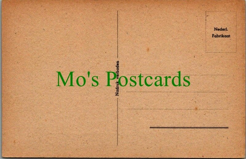 Netherlands Postcard - Den Haag - Vredespaleis  RS25893