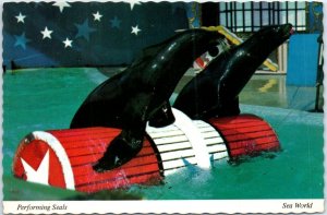 Postcard - Performing Seals, Sea World - San Diego, California