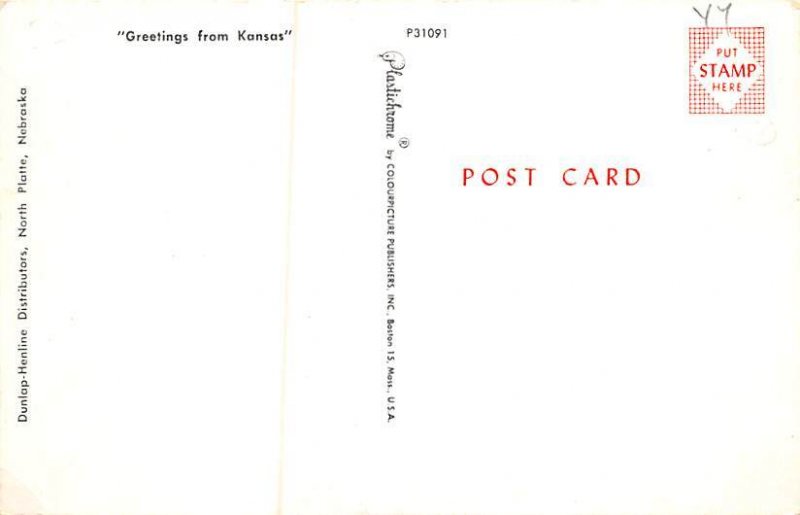 Greetings from Kansas Postcard