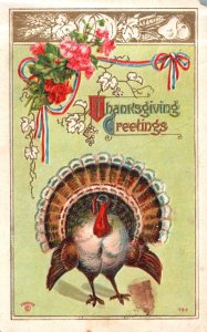 Vintage Postcard Thanksgiving Greetings Turkey In Pink Flowers Framed Greetings