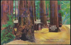 LANE'S REDWOOD FLAT 1947 ON THE REDWOOD HIGHWAY  CALIFORNIA