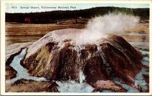 Yellowstone National Park Sponge Geyser