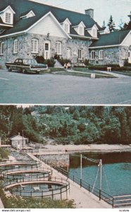 TADOUSSAC, Quebec , Canada , 1950-60s ; La Station de Pisciculture