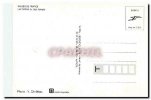 Modern Postcard The Basque Country The Pottoks