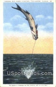 Hooked - Bradenton, Florida FL