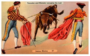 Toreador and Matador enraging the Bull