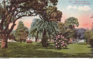 OAKLAND, California, 1900-10s; Madison Square