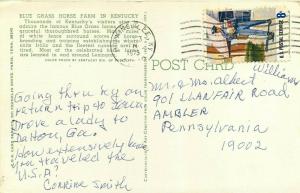 Blue Grass Horse Farm Ketucky KY Thoroughbreds pm 1973 Postcard