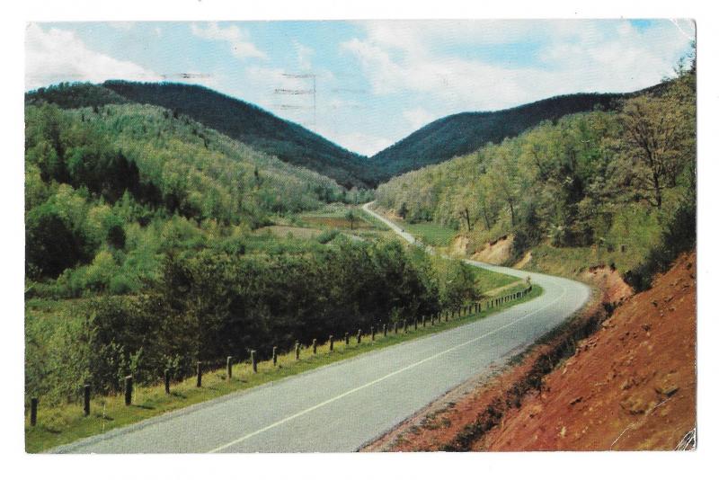 Georgia Unicoi Gap State Hwy 75 Blue Ridge Mts K Rogers Photo 1959 Postcard