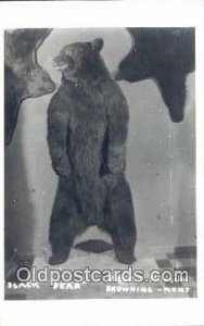 Museum, Browing Montana USA Bear  Unused 