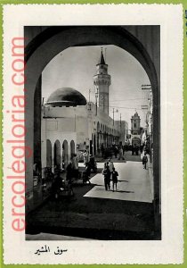 af6164 - LIBYA - VINTAGE POSTCARD - Tripoli - 1956-
