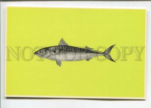 471310 USSR advertising of frozen fish for export Prodintorg Mackerel Old