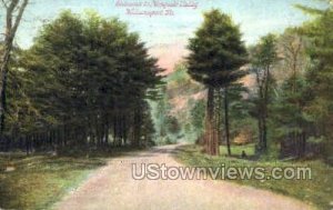 Mosquito Valley - Williamsport, Pennsylvania PA Postcard