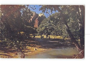 Zion National Park Utah UT Postcard 1951 Virgin River