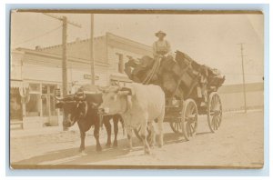 c1910 Oxen Wagon Hauling Huge Lumber Load Main Street Cart RPPC Photo Postcard