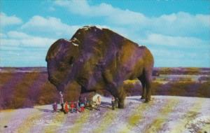 North Dakota Jamestown The World's Largest Buffalo 1968