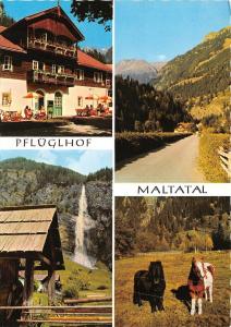 BG27036 alpen hotel pflughof horse   maltatal karnten   austria