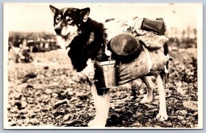 K49/ Seward Alaska RPPC Postcard c1940s Murray Husky Gold Mining 486