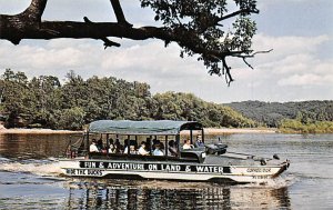 Duck On Scenic Wisconsin River - Wisconsin Dells, Wisconsin WI  